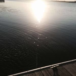 Meet your Posher, Kylie